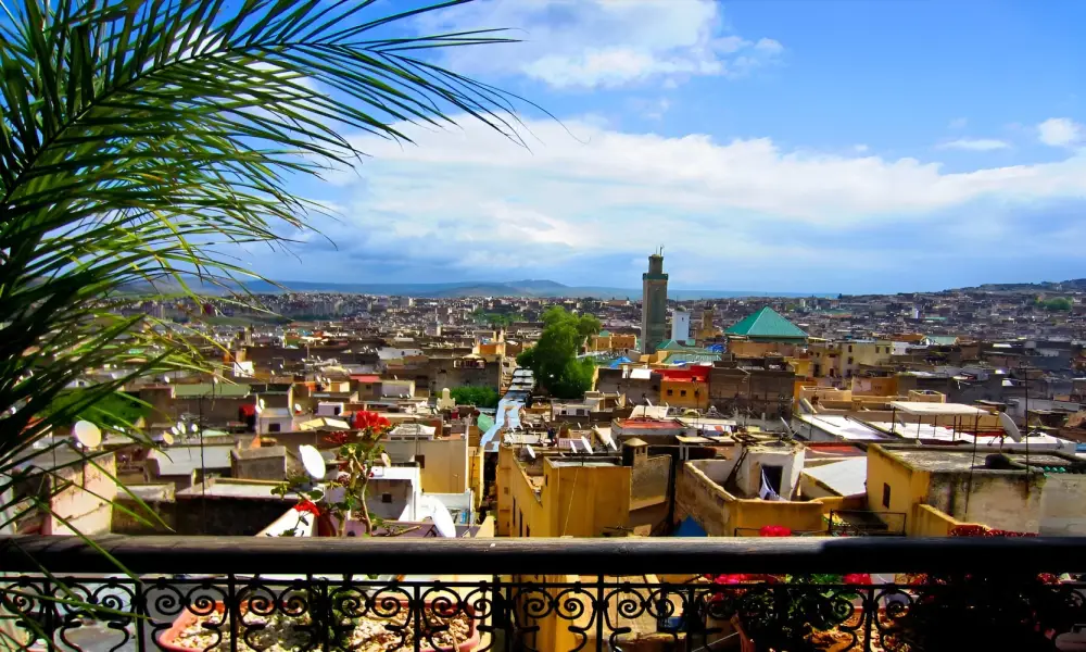Fes Medina Guided Tour Half Day